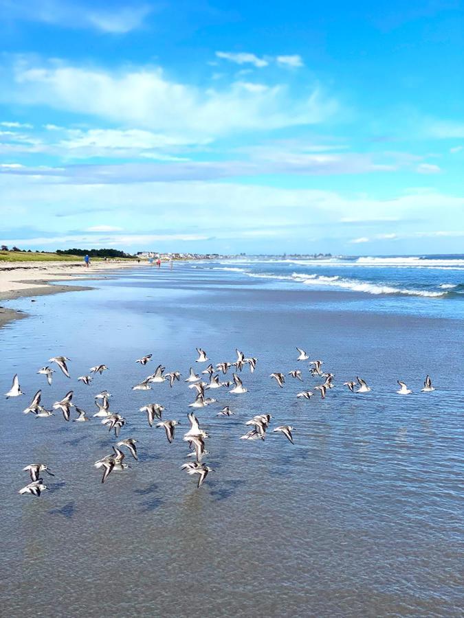 Motel Ocean Acres Ogunquit Exterior foto